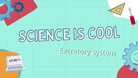 Science is cool - excretory system