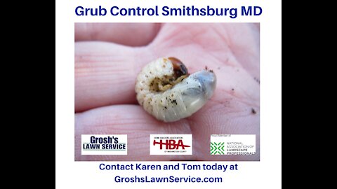 Grub Control Smithsburg MD Lawn Care Service