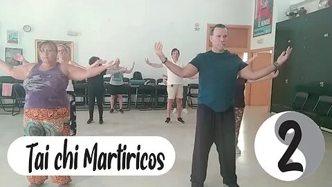 Taichi Martiricos 2