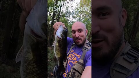 Creekwalking for smallmouth in Ohio (short version)