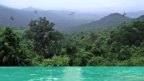 Therapeutic Calm water and Bird chirping