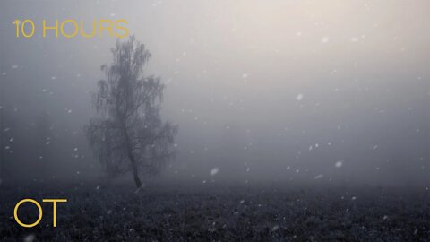 Alone in the Cold as a Snowy Wind Blows | Mellow Winter Ambience for Relaxing | Studying | Sleeping