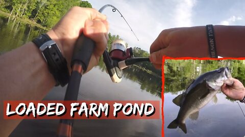 Fishing A Farm Pond in SE Georgia (Loaded with Bass!)