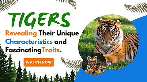 Tigers, Revealing Their Unique Characteristics and FascinatingTraits.