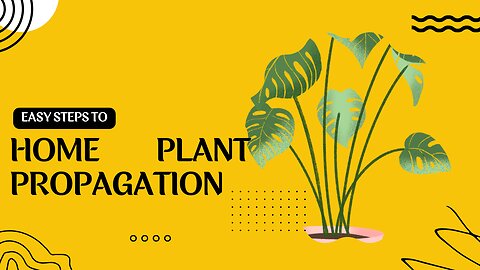 How to propagate your home plant