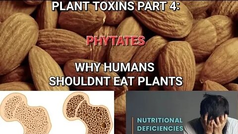 Plant Toxins Part 4: PHYTATES | Why humans shouldn't eat plants