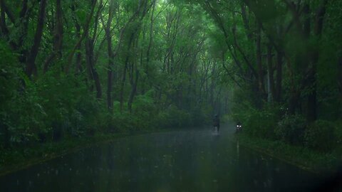 Eternal Beauty Captivating Nature Scenery