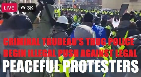 GLOBALIST POLICE THUGS BEGIN ILLEGAL PUSH AGAINST LEGAL PEACEFUL OTTAWA PROTEST