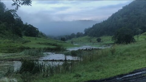 Morning visit with the horses and Henry. The flood has only made our paradise more beautiful