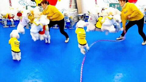 ...The dogs jump rope together