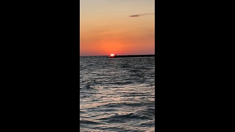 Dolphin Sunset | Memorial Day Weekend | 4K