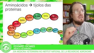 Cachorro doente renal precisa tomar Ketosteril? | Dr. Edgard Gomes | Alimentação natural para Cães