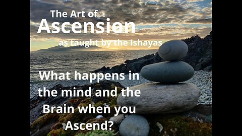 What happens to your mind and brain when you Ascend?