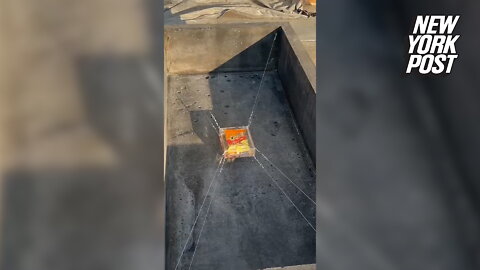 Artist seals bag of flaming hot cheetos up in a tomb