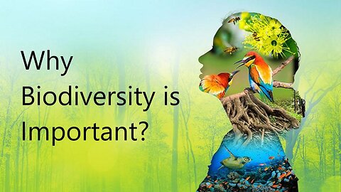 Why is Biodiversity Important? With Sir David Attenborough