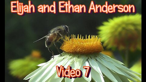 Elijah and Ethan Anderson Video's Part 7