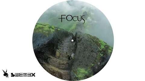 FOCUS - SWEMEX | Minimal House, Electro House, LO-FI ChillOut Livestream