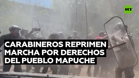 Carabineros reprimen con fuerza una marcha en defensa de los derechos del pueblo mapuche