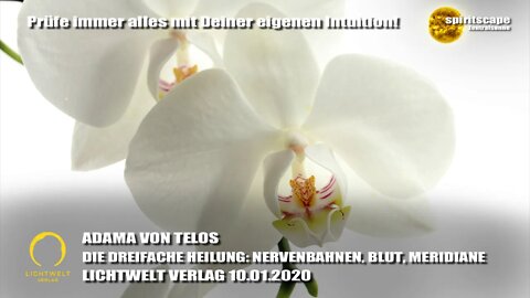 Innererde - ADAMA VON TELOS - DIE DREIFACHE HEILUNG: NERVENBAHNEN, BLUT, MERIDIANE - LWV 10.01.2020