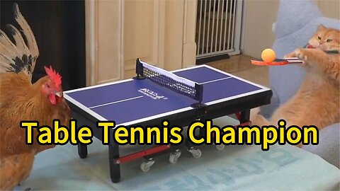 Animal world table tennis champion