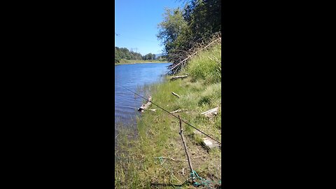 Catching quality small mouth bass at the lake