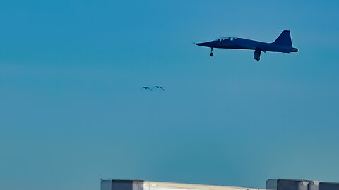 Birds Fly Under Air Force Jet Landing At Edwards Air Force Base