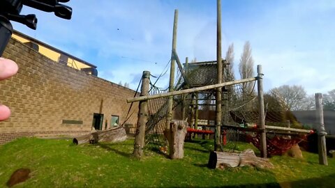 Orangutang enclosure.￼ #Twycrosszoo