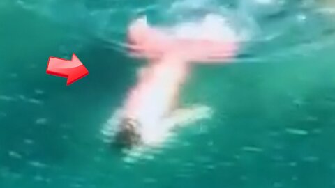 Witnessing a beautiful pink mermaid resting in the beautiful ocean [Conspiracy]