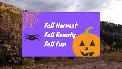 Fall Beauty, Fall Harvest, Fall Fun