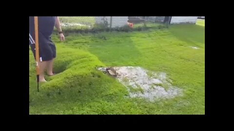 Lawn Bubble