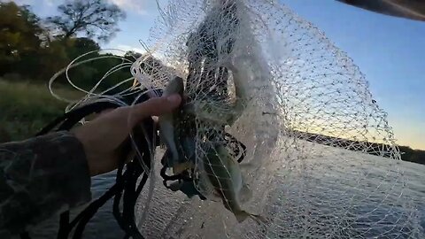 smallest catch on the fly rod: cast netting as well