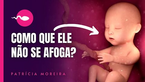 COMO O BEBÊ RESPIRA DENTRO DA BARRIGA? Como que ele não se afoga? | Boa Gravidez