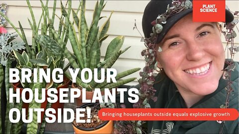 How To Bring Indoor Plants Outside For The Summer. Getting Houseplants To Fast Growth!