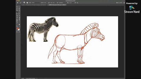 Cartooning Lessons LIVE! with Dan Lietha - How to Draw a Zebra!