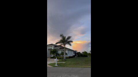 July 3rd In Paradise #BurrowingOwl #Sunrise #SoundOfFreedom #Rainbow#mywalksinparadise #4K