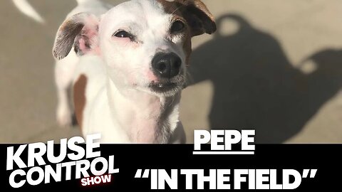 Pepe in the Field!