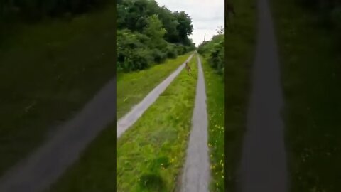 racing a wild deer on a rural trail in western NY while riding an electric unicycle