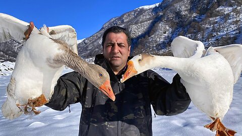 2 BEAUTIFUL GOOSE AND DINNER IS READY! SPECIAL RECIPE BEFORE THE NEW YEAR!