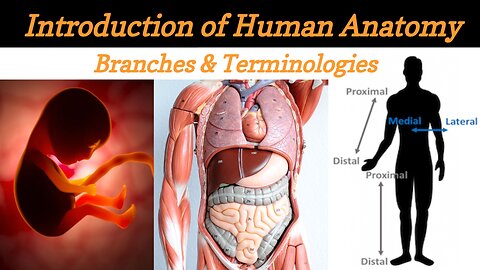 Introduction to Anatomy & Physiology | Anatomy branches and terminology - Lecture #1