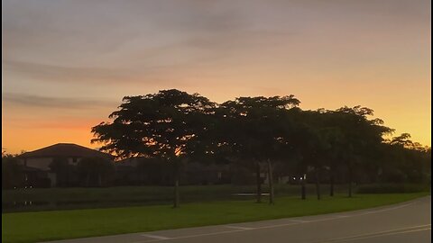 Osprey Considers Eating Fat Pug During Sunset Walk In Paradise 😝