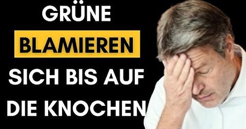 Grüner weiß nicht, was Inflation ist, ABER sitzt im EU-Ausschuss für Industrie!