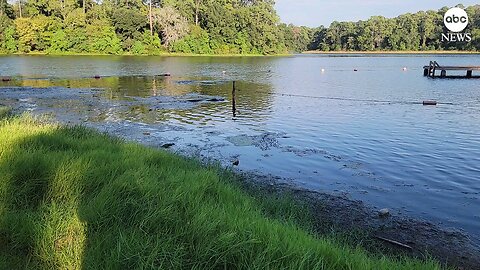 LATER, GATOR: Frightening moments for families visiting Huntsville State Park in Texas as