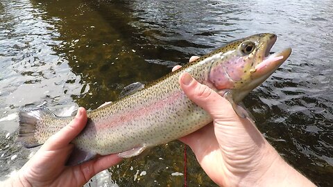 Amazing Opening Day of Trout! | New Jersey Trout Fishing