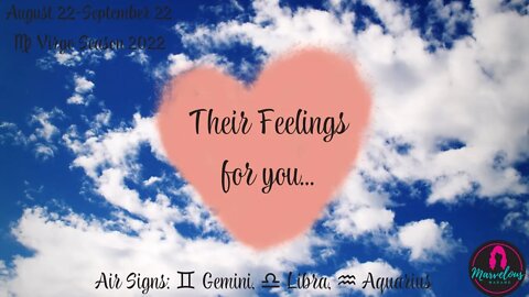 🌬 Air Signs: ♊️ Gemini, ♎️ Libra, ♒️ Aquarius: Their Feelings for you! [♍️ Virgo Season 2022]