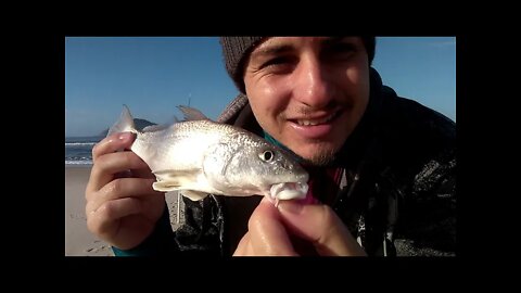 PESCARIA EM GRUMARI COM BELOS PEIXES, BELA PRAIA, AVENTURA E NOVA AMIZADE - Bello Peixe