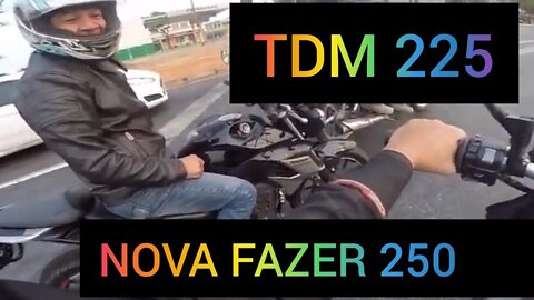 TDM VS FZ 250