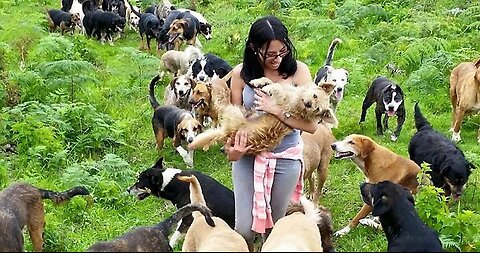 Territorio de Zaguates "Land of The Strays" Dog Rescue Ranch Sanctuary in Costa Rica