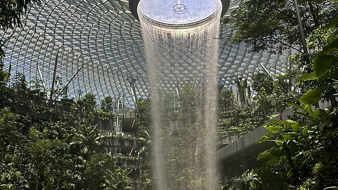 Changi Airport Rainforest Vortex