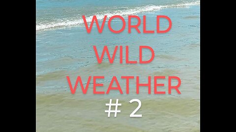 World Wild Weather #2