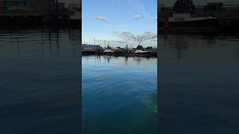 Boat from Massachusetts in Auckland